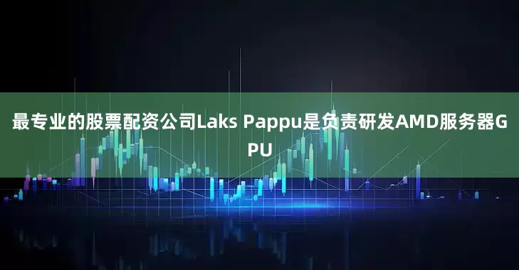 最专业的股票配资公司Laks Pappu是负责研发AMD服务器GPU