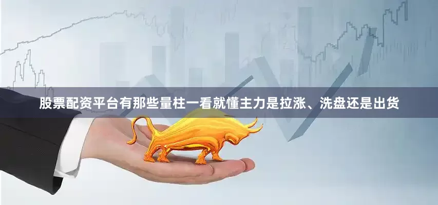 股票配资平台有那些量柱一看就懂主力是拉涨、洗盘还是出货
