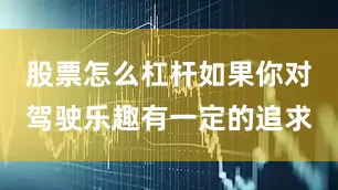 股票怎么杠杆如果你对驾驶乐趣有一定的追求